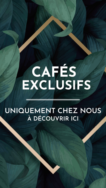 Kategorie-Banner-Exklusive-KaffeesDxeBu8vDFcGeS