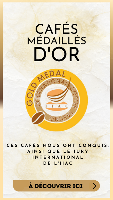 Kategorie-Banner-Gold-MedaillenwgBwxvpDsfe29